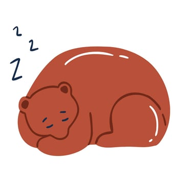 Bear Hibernation