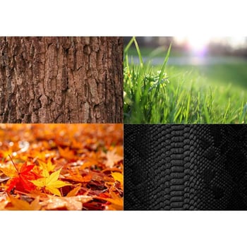 Norman Learns about Texture