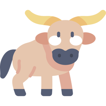 Que voient les gnous ?