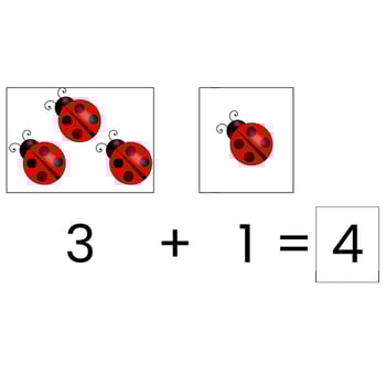 Adding Insects and Arachnids