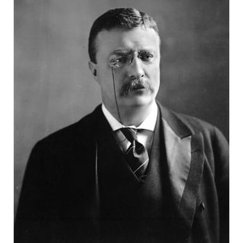 President Theodore Roosevelt