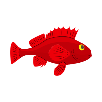 El pez rosado con manos (versión simplificada)