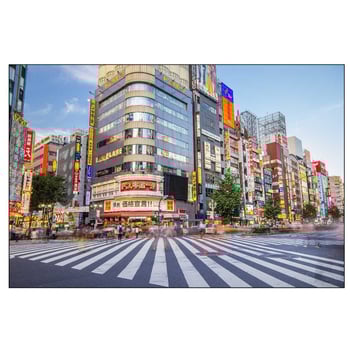 Let’s Go to Japan!