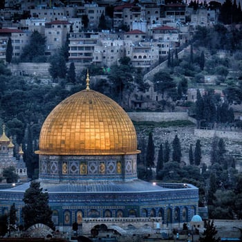 Let's Go to the State of Palestine!