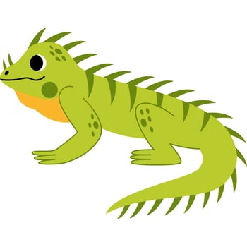 How Long Is the Lizard?