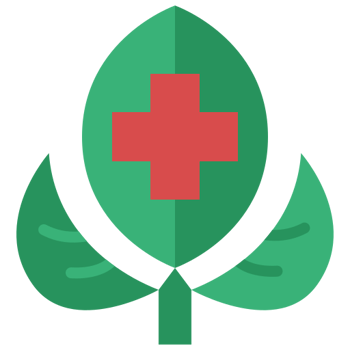 Francisco Hernández