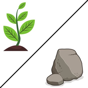 Living & Non-living Things