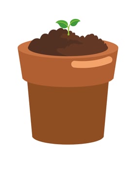 Lily's Mystery Plant