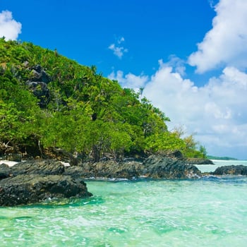 Let's Go to Madagascar!