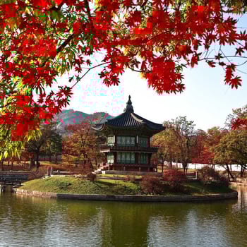 Let's Go to South Korea!