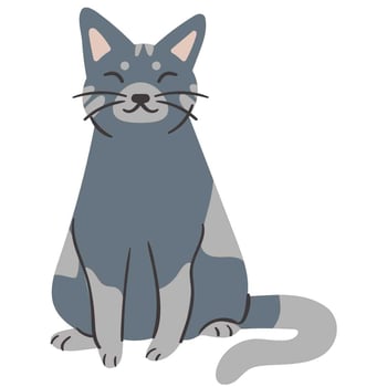 Mrs. Maple Counts Cats