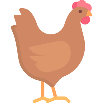 Hombre español violó la cuarentena (Nivel B)