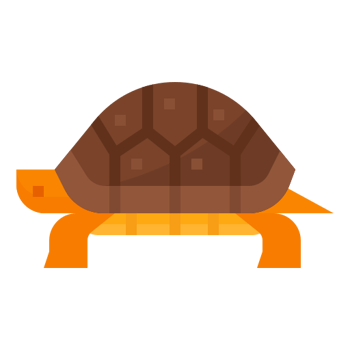 Descubren nueva tortuga en las islas Galápagos (Nivel B)