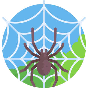 Ayudando a los animales de México (Nivel A)