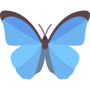 La mariposa Morpho es el nuevo símbolo nacional de Costa Rica (Nivel B)