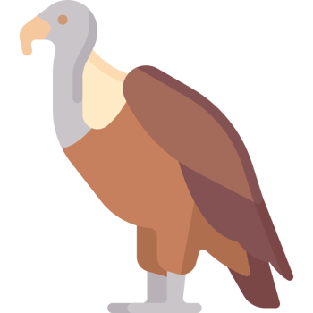 Quebrantahuesos nace en Asturias (Nivel A)