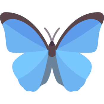 La mariposa Morpho es el nuevo símbolo nacional de Costa Rica (Nivel A)