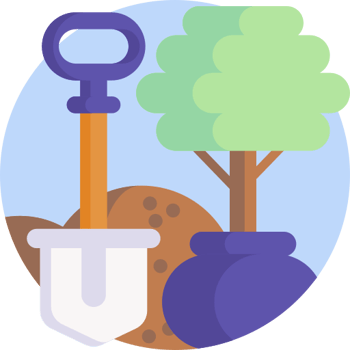 Plantan árboles en Paraguay (Nivel A)