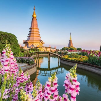 Let's Go to Thailand!