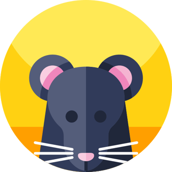 Nicolás y el ratón