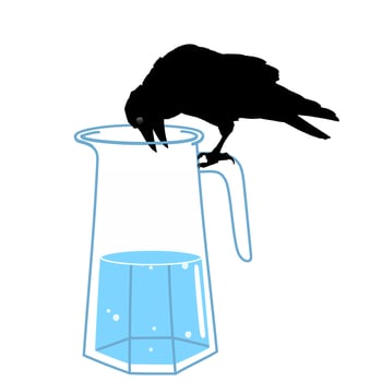 The Crow and the Pitcher