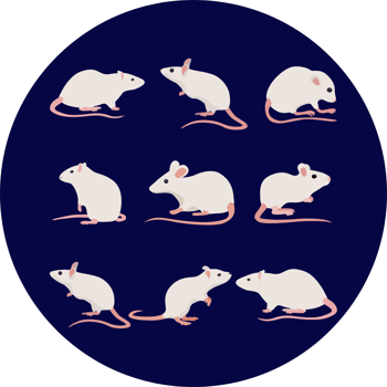 Nine White Mice