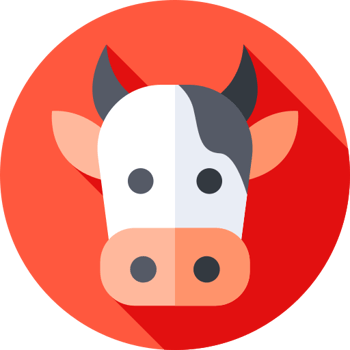 La vaca, el perro y el gato