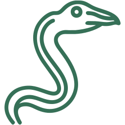 Podcast Episode 30: El basilisco (versión simplificada)