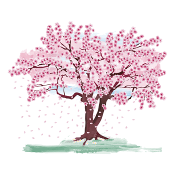 The National Cherry Blossom Festival