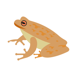 Ribbitito