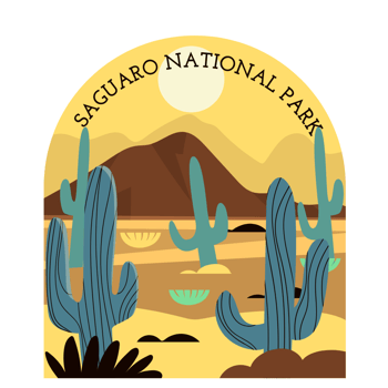 Saguaro National Park