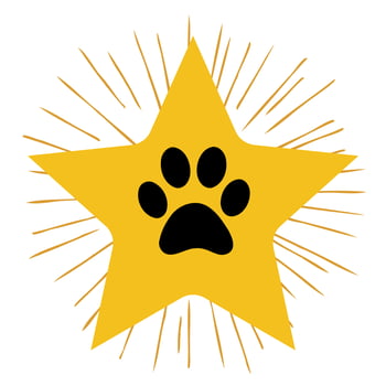 10 animales famosos