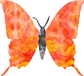 La mariposa Magdalena