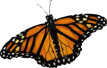 Las mariposas monarca y el Día de Muertos