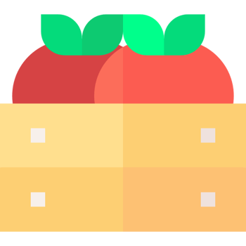 La Tomatina de Buñol
