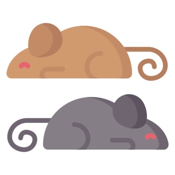 The Country Mouse and the City Mouse