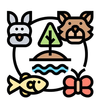 Animals