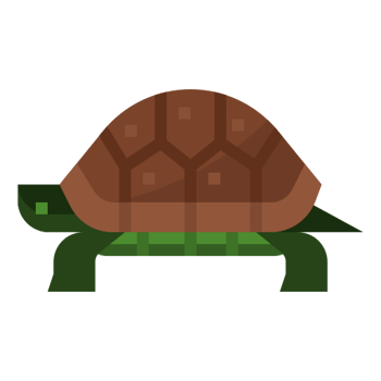 Solitario George