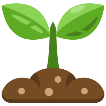 El árbol que combate la deforestación (Nivel A)