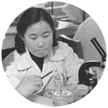 Tu YouYou, «la médica» (Versión simplificada)
