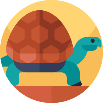 Diego, la tortuga que salvó a su especie (Nivel A)