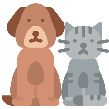 España tiene una nueva ley de protección animal (Nivel B)