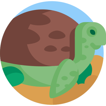 Diego, la tortuga que salvó a su especie (Nivel B)