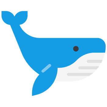 Descubren nueva especie de ballena en el Pacífico mexicano (Nivel A)