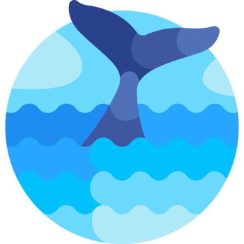 Dos ballenas jorobadas son rescatadas en Argentina (Nivel B)